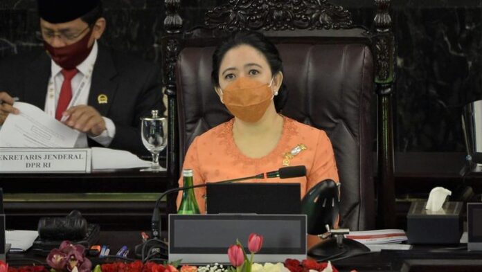 Puan Maharani . Foto Dok Istimewa