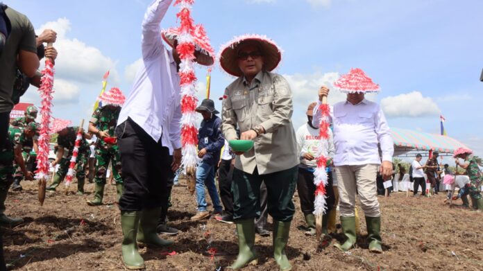 Wakil Menteri Pertanian, Harvick Hasnul Qolbi di acara tanam raya jagung raya di Desa Tenggulun, Kecamatan Tenggulung, Kabupaten Aceh Tamiang, Senin (29/8) | Foto: Kementan