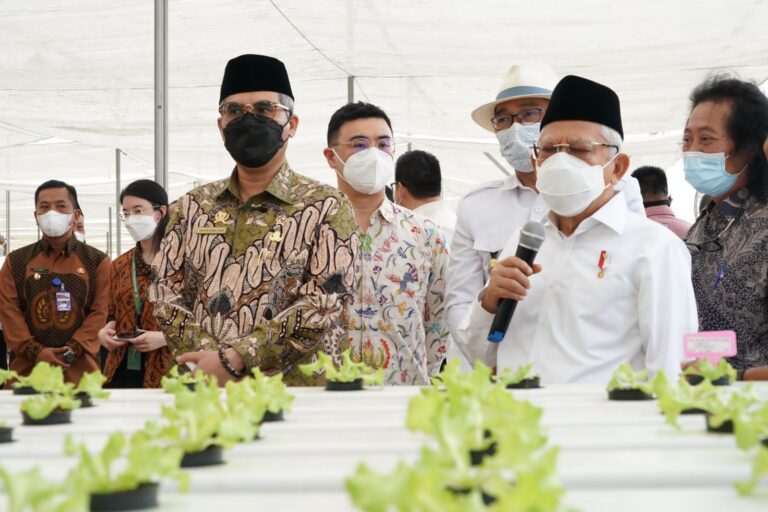 Wamentan Nilai Area Green Farm di Karawang Bentuk Kolaborasi Pertanian dan Teknologi