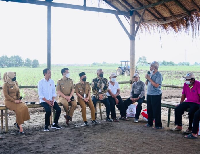 Presiden Jokowi juga berdialog dengan petani tebu di Kebun Tebu Temu Giring, Kabupaten Mojokerto, Jawa Timur, Jumat (04/11) | Foto: BPMI Setpres/Laily Rachev