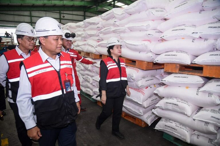 Di Sumsel, Puan Sindir Pemerintah Soal Lemahnya Ketersediaan Pupuk untuk Petani