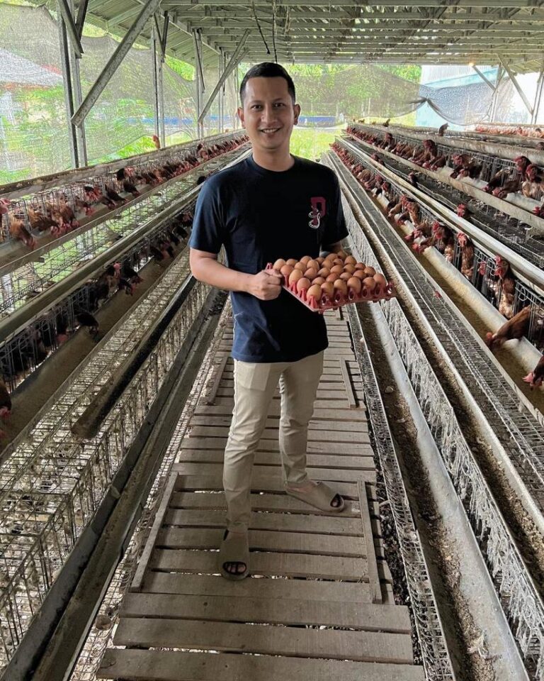 Harga Telur Ayam Stabil, Ismardhana Kresna Putra Peternak Milenial: Saya Sangat Senang