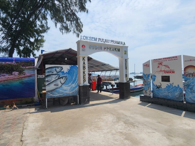 Tingkatkan Literasi, BPD Pemprov DKI Canangkan Digital Island di Pulau Pramuka