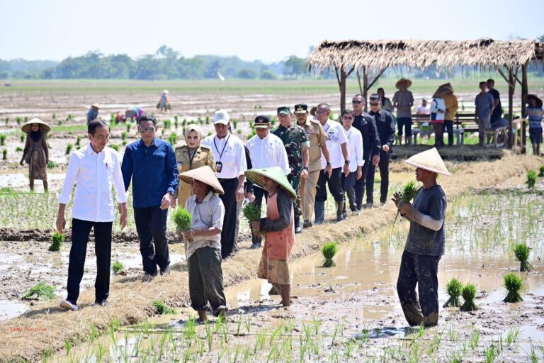 Jokowi Minta Petani Segera Tanam Padi Seiring Dimulainya Musim Hujan