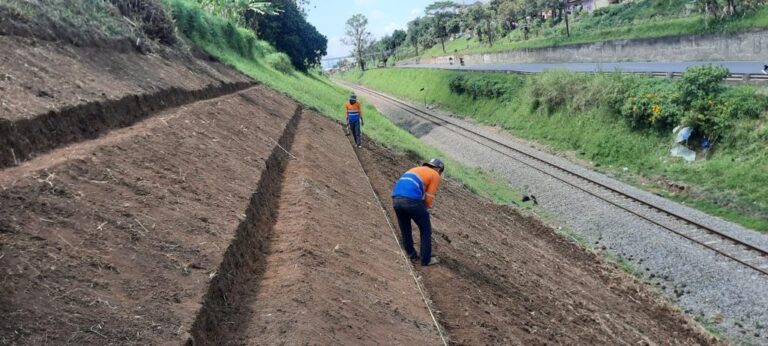 Antisipasi Longsor Musim Hujan, KAI Tanam Rumput Akar Wangi di Sepanjang Jalur Kereta
