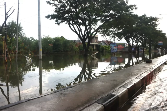 Lahan persawahan di Kecamatan Karanganyar yang sebelumnya tergenang air hingga ketinggian 150cm mulai tampak kembali pasca surutnya banjir yang melanda wilayah Kabupaten Demak pada awal bulan Februari 2024 lalu. (BNPB)