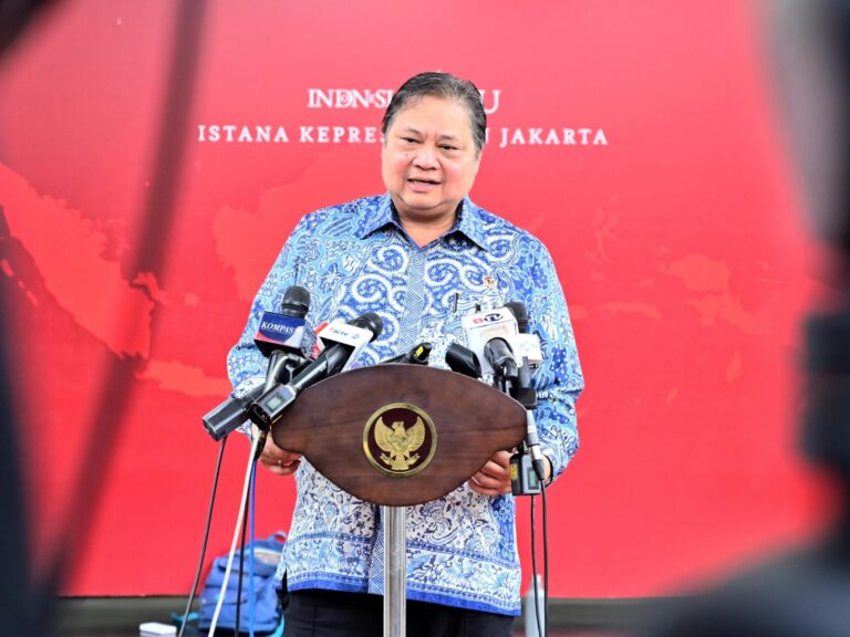 Pemerintah Dorong Negara-negara BRICS Serap Produk Indonesia