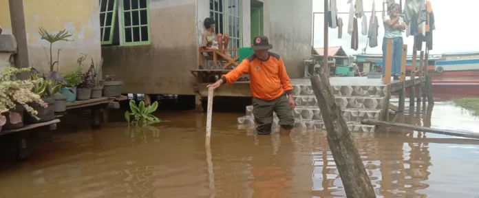 Kondisi wilayah yang terdampak banjir di Kabupaten Sintang, Kalimantan Barat, Sabtu (24/2) (BPBD Kabupaten Sintang) JAKARTA - Hujan dengan intensitas tinggi yang terjadi selama beberapa hari terakhir di Kalim