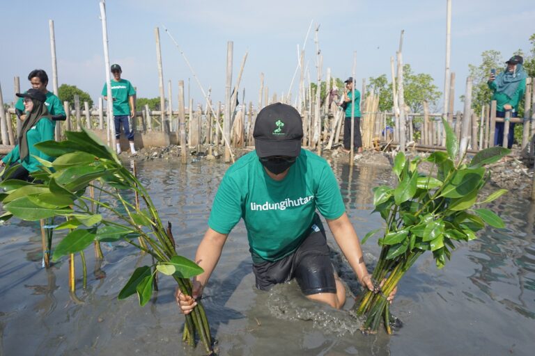 Peran dan Kontribusi LindungiHutan dalam Mencapai SDGs