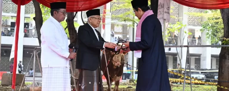 Masjid Istiqlal Kurban 50 Ekor Sapi dan 12 Ekor Kambing
