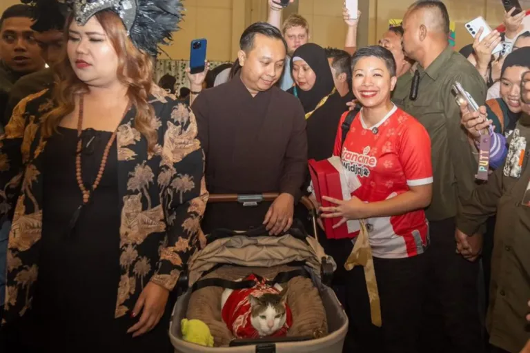 Anggota DPRD DKI Menangkan Lelang Baju Kucing Prabowo Rp12 Juta, bakal Dibingkai sebagai Koleksi